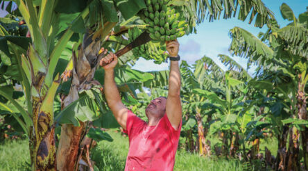 Image for Value-added products from agricultural waste