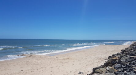Image for Geofabrics does a Canute on local beaches