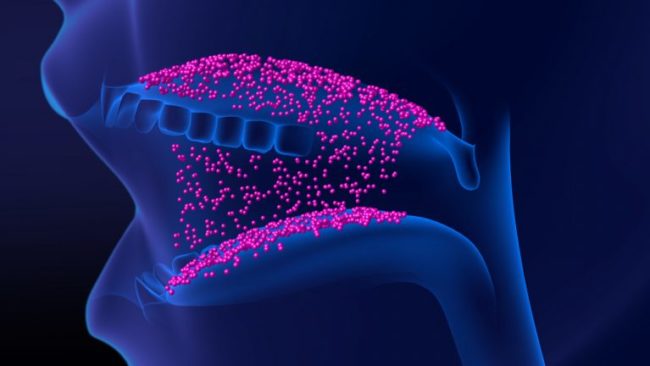 Frame_Mouth_Side-768×432