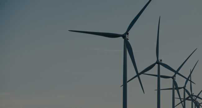 banner3
