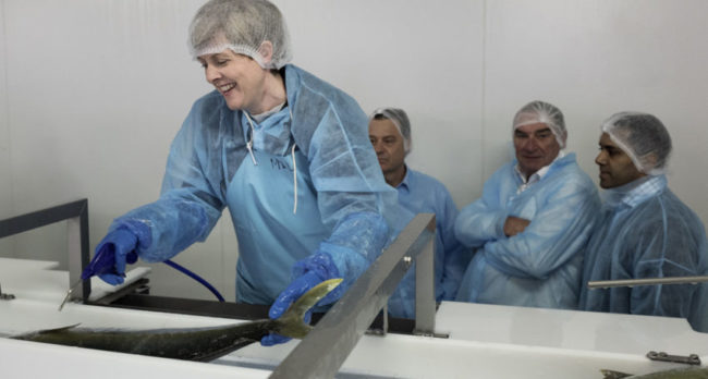 Clean-Seas-850×455