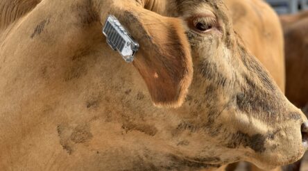 Image for Commercialisation grants announced worth $2.8 million