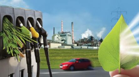 Image for Brisbane Bioenergy showcase begins today