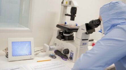 Image for Canberra heaps insult on R&D injury