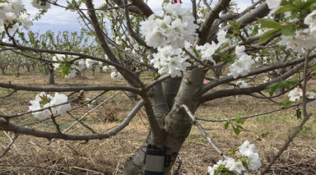 Image for Profiles of success: the regional electronics manufacturer that listens to trees