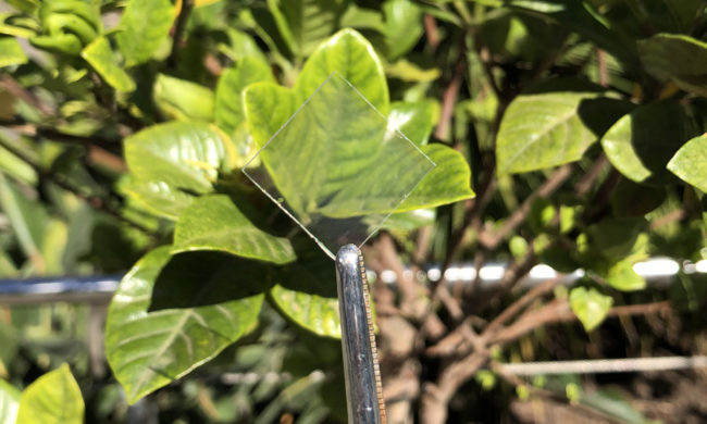 news-clear-coating