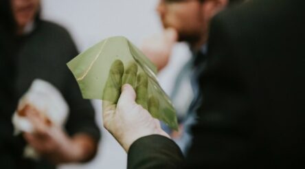 Image for Startup sees a crab bag of potential in seafood shell waste