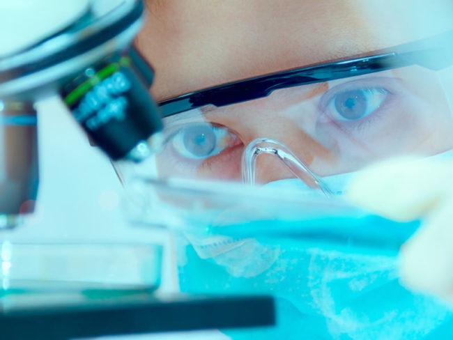 research_506591185_OP
