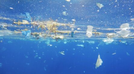 Image for Think all your plastic is being recycled? New research shows it can end up in the ocean