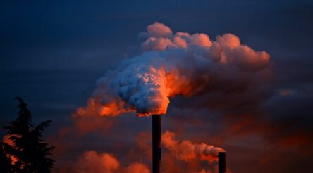 Image for Chemical engineers look to biomanufacturing using waste products