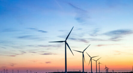 Image for QLD economy to grow an extra 7 per cent to 2050 if clean economy shift managed well: Deloitte