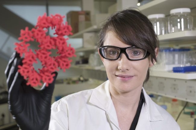 Dr Cara Doherty holding up a model of a porous MOF that can be grown around the outside of the live viral vaccines to protect against heat challenges