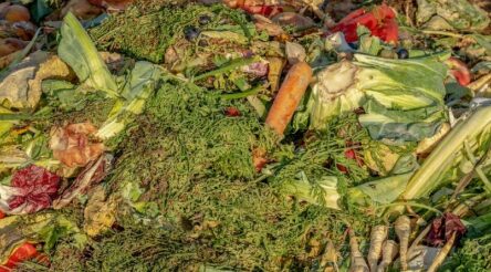 Image for $16 million waste-to-value R&D cooperative launched at Deakin University