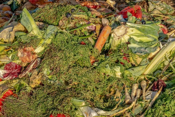 food_waste_pixabay