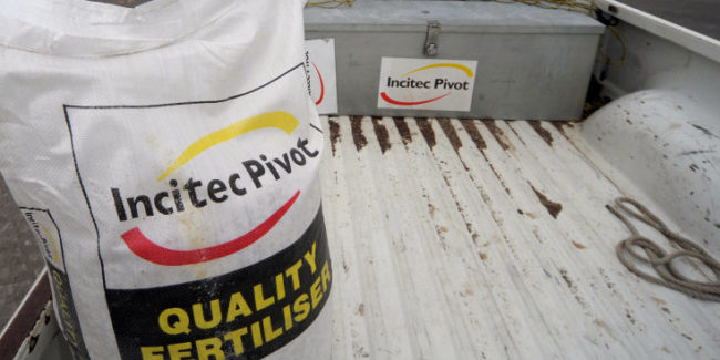 ipl-735×367