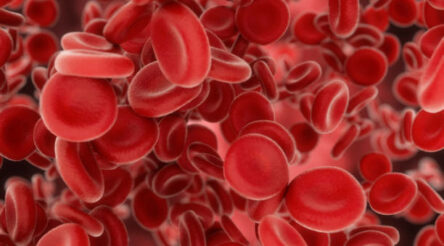 Image for We’ve created a device that could allow instant disease diagnosis – while fitting inside your phone lens