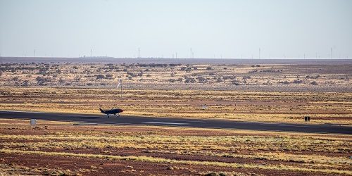 Med-res_LW_FF_Stills-4-500×250