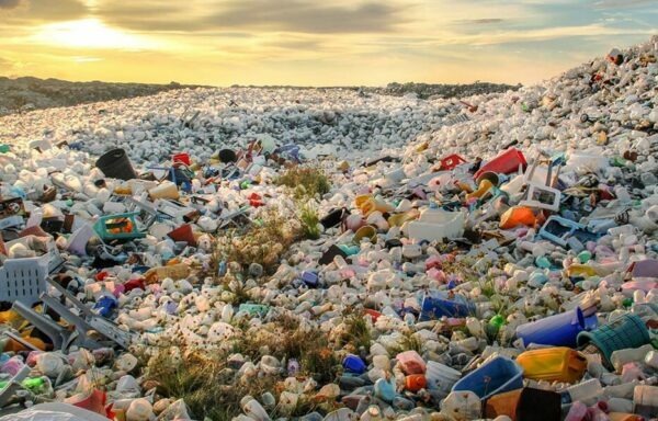 img-plastic-free-july-2020-banner2