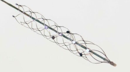 Image for We’ve been connecting brains to computers longer than you’d expect. These 3 companies are leading the way