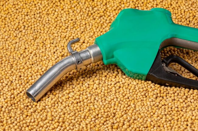 Diesel,Fuel,Nozzle,And,Soybeans.,Biodiesel,,Biofuel,,Agriculture,And,Renewable