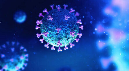 Image for Immuron in second US gut health trial