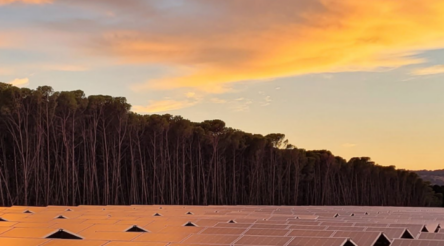 Image for Industry needs a step change in solar PV efficiency and cost – report