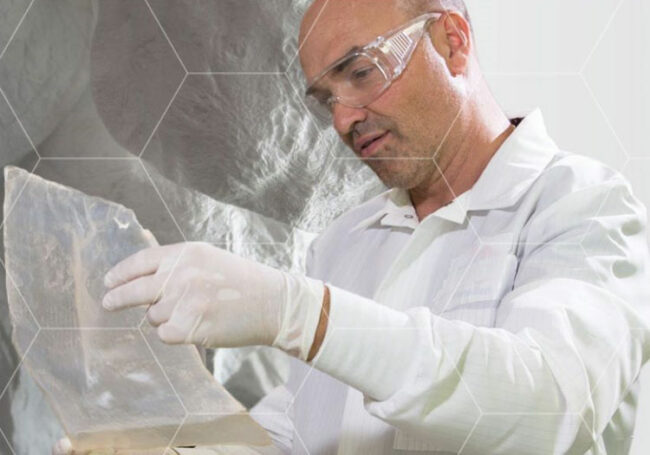 nanollose