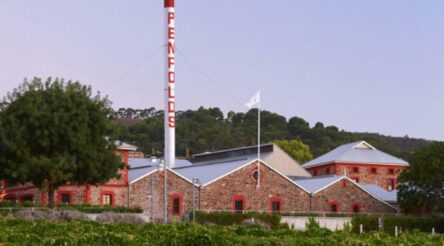 Image for Treasury maps out return to China wine market