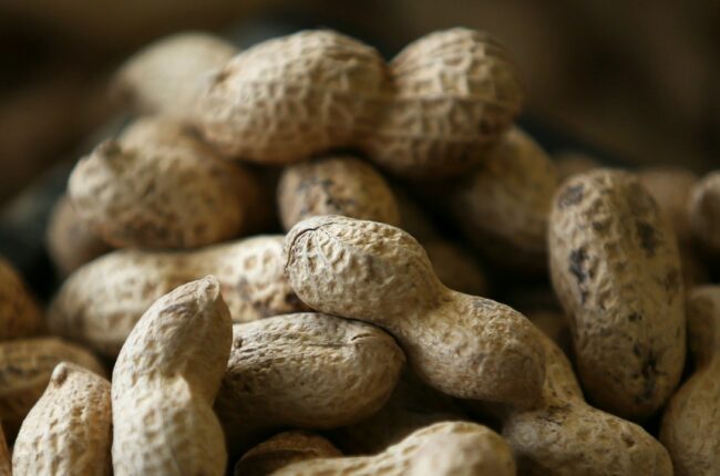 _sf_peanut