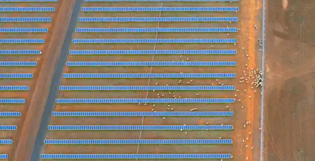 No threat to farm land: just 1,200 square kilometres can fulfil Australia’s solar and wind energy needs