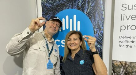Image for CSIRO looks to commercialise new powdered beef product, Just Meat