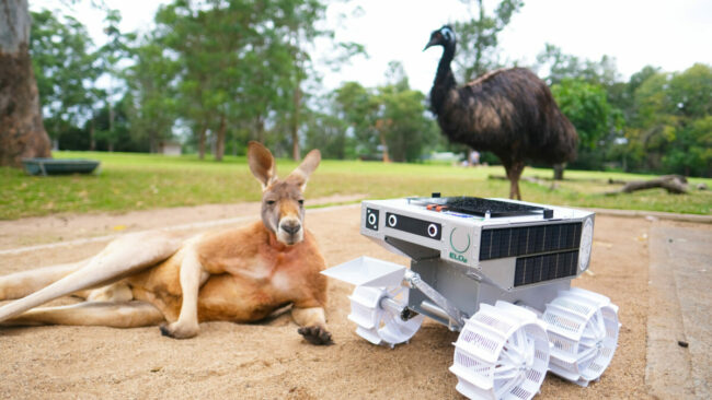 Pluto the roo and an emu taking a closer look at ELO2 Aussie Made rover at Lone Pine Koala Sanctuary