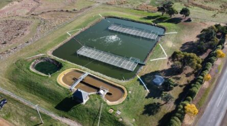 Image for Clarity Aquatic’s wetlands treating Tassie sewage