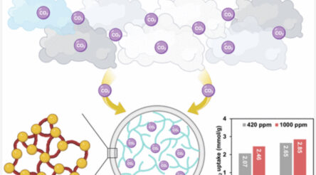 Image for Monash team makes “significant advance towards commercialisation” for carbon capture