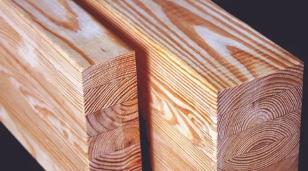 Image for Push for manufacturing hub making timber products as hard as steel