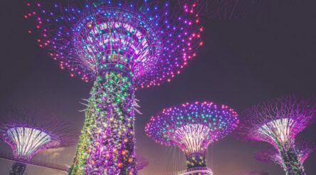 Image for MEMKO moves into Singapore