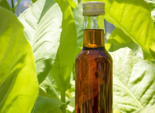 leaf-oil-bottle