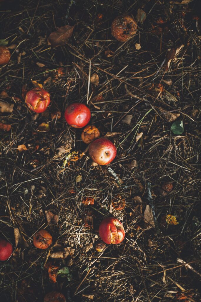 Organic waste recycling facilities that turn food waste into agricultural products are gaining traction in Tamworth, NSW and Bendigo, Victoria.