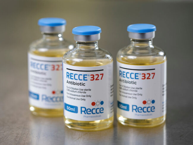 Reece photography 041120