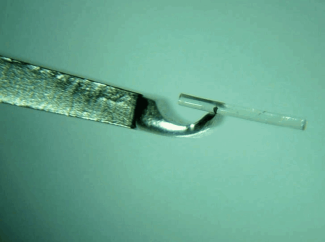 PolyActiva Implant 2400×1268
