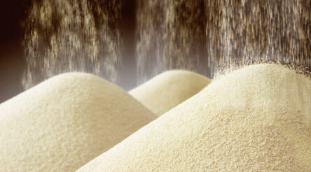 Image for MicroBioGen, Lesaffre announce exclusive worldwide licensing and collaboration deal on industrial yeast technology