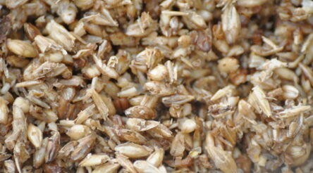 Image for Public/private consortium invests $1.24 million in spent grain research