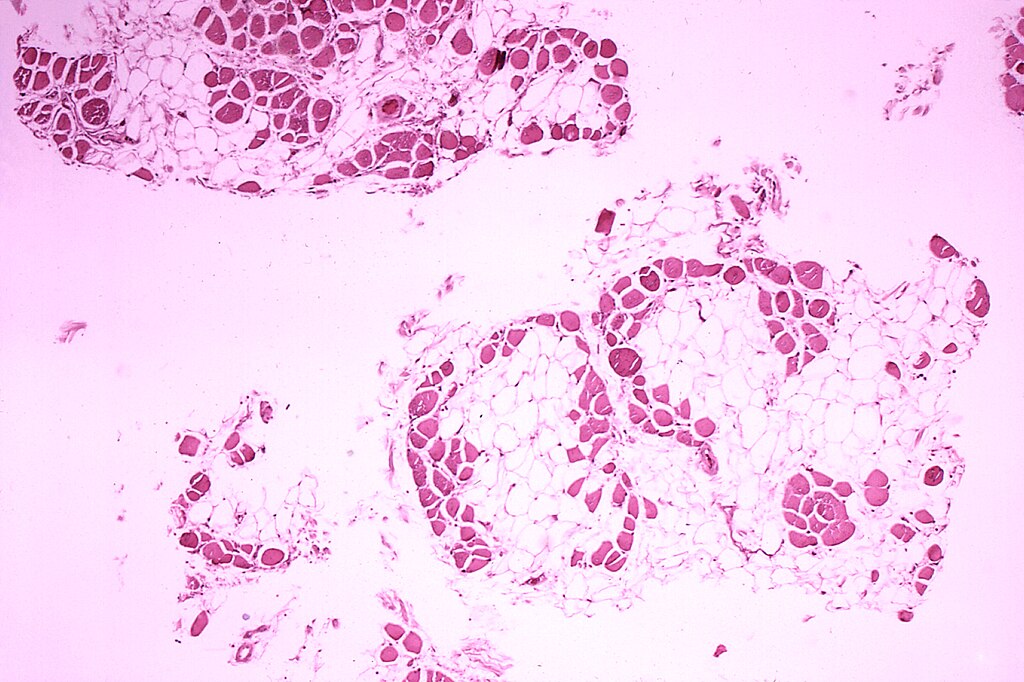 Monash Ventures Pre-Seed Fund invests $2.25 million in three biotech spinouts