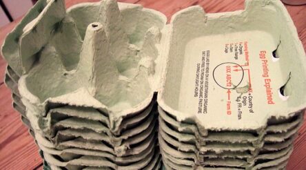 Image for Energy, timber costs made the last five years tough for paperboard container makers: report